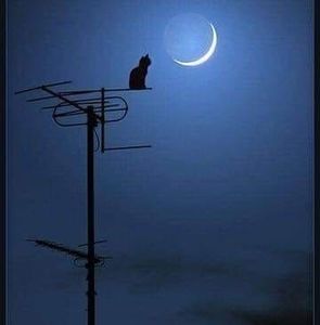 Meet your Posher, Vickie